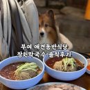 장원 | 부여 애견동반식당 장원막국수 솔직후기 | 오픈런 할 만할까?