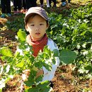 건희농장 이미지