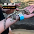 애완동물원 | 68P : 파주 아이와 가기좋은 실내 동물원 이색데이트 테이블에이 파주점