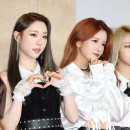 엑시 카카오 검색결과