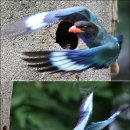 고품격 `Netizen Eye News` 2007년 7월 18일 (수). 이미지