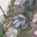 역돔낚시터 이미지