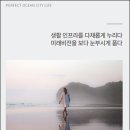 시화나래초등학교 이미지