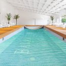 밸런스독 애견펜션 이미지