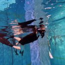 강서안전교육센터 | 강서 프리다이빙 어디서 배울까? 추천 교육 센터는?