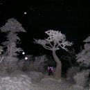 깜장고무신 이미지