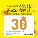 청춘살롱헤어