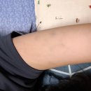 연산백련로 1번길 16-5 | [웨딩] 신부관리 후기💆🏻‍♀️✨ 100% 내돈내산! (목포 예라인)