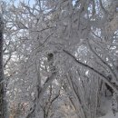 행복속에서 이미지