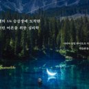 315013 이미지