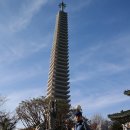 강진-16 이미지
