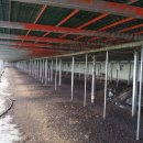 충북염소농장 이미지