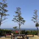 부메랑노래방 | 차 (학포야영장, 저동커피, 울릉도 선주 자연산 아저씨네, 독도 전망 케이블카, 부메랑 식당, 도마 치킨)