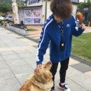진도JD 무인텔 | 진도 목포여행 - 팽목항, 진도개테마파크, 세월호, 김대중 노벨평화상 기념관, 목포근대역사관...