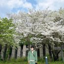사월봄약국 이미지