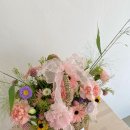 호주소사랑