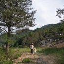 내리목장 이미지