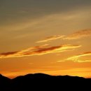 순천만 습지 이미지