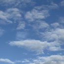 동울산생돼지생뼈사골곰국밥 | 울산돼지국밥 병영 동울산생돼지생뼈 사골곰국밥 추천