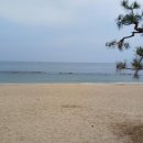 강문소소담 이미지