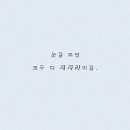 몽비 이미지