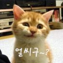 퐁듀크라상 이미지