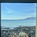 (주)제주협재콘도미니엄 | 제주 서쪽 한림 협재 오션뷰 루프탑카페 한라봉에이드, 케이크 맛집 : 베릴BERYL (노키즈존) 내돈내산