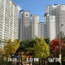 지에스25조례대주점 | [광고]251101-02 주말일기 - 뿌듯하게 잘보냈다