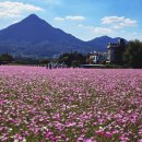 가조온천 이미지