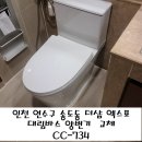 EXPO 화장실 | 연수구 송도동 더샵엑스포 욕실 투피스양변기 교체 화장실 공사후기 대림바스 CC-734