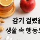 웰디렉터