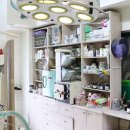 이창훈 동물병원 이미지