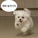 3.1공원(사무실화장실) | 함안 197캠프 | 경남 함안 물놀이 캠크닉 추천, 테이블존 이용 후기