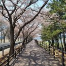 해파랑길 걷기 여행 16일차 (25코스 &amp; 26코스) 후기