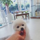 어서왈왈 이미지