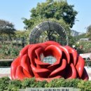 장미1길 이미지