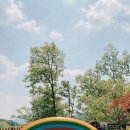 백암안경