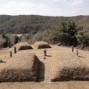 죽정최유경묘역 Daum카페