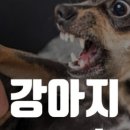 하늬동물병원 이미지