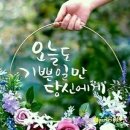 텃밭야채 이미지