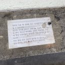 더 스테이 크리스마스 민박 | 숙소 독채 한옥 숙소 크리스마스숙소 추천 트리숙소 자쿠지 온수 바베큐 무료 내돈내산 후기 [스테이 안시]