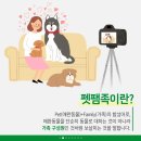 펫부머