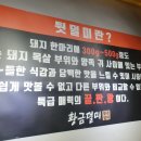 황금덜미 이미지