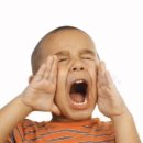 생 마차 이미지