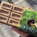 붕어네아이스크림 | 제주담은 말차초코 모나카 붕어싸만코 말차 아이스크림 비교후기
