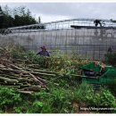 고흥군농업기계임대사업소 이미지