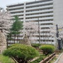 앞산요양병원 | 북한산 둘레길 3코스 완주 후기