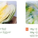 대숲김치 이미지