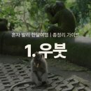 QUEEN DIET(퀸다이어트) | [ 혼자 발리 한달여행 | 총정리 가이드 ] 1. 발리 공항 ~ 우붓 | 식당 & 관광지 & 투어 & 마사지샵...