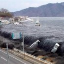 동일본 대지진 생존자 썰 알아? 일본에 살고있는 한국교포 분이신가 그런데 이미지